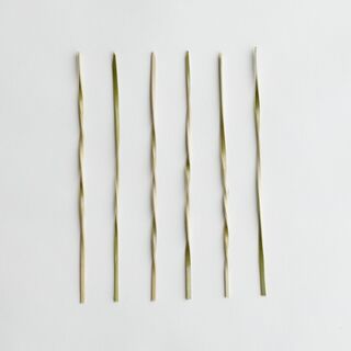 Twist Bamboo Skewer 15cm - Epicure