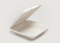 Clam Tray Sugar Cane 20x21cm, Pack 50 - Vegware