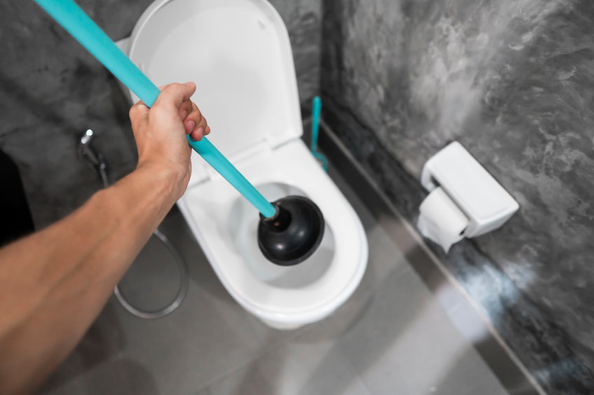 Talking toilet paper ....