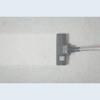 Carpet & Floor Cleaner NZ