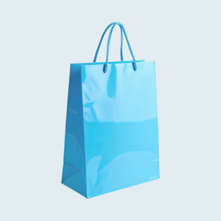 Coloured Paper Bags with Rope Handles NZ | Insinc