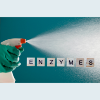 Enzyme-Based Cleaners & Probiotic Cleaning Products NZ | Insinc
