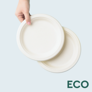 Party Plates | Disposable Plates for Events NZ