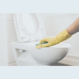 Toilet Cleaner NZ