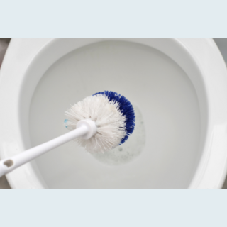 Toilet Brushes NZ | Washroom Cleaning Tools