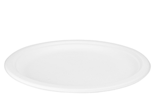 Plate Bagasse 26cm, Pack 50 - Vegware