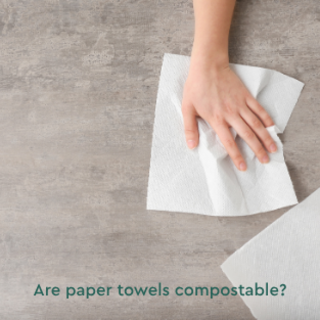 Can I compost paper towels?